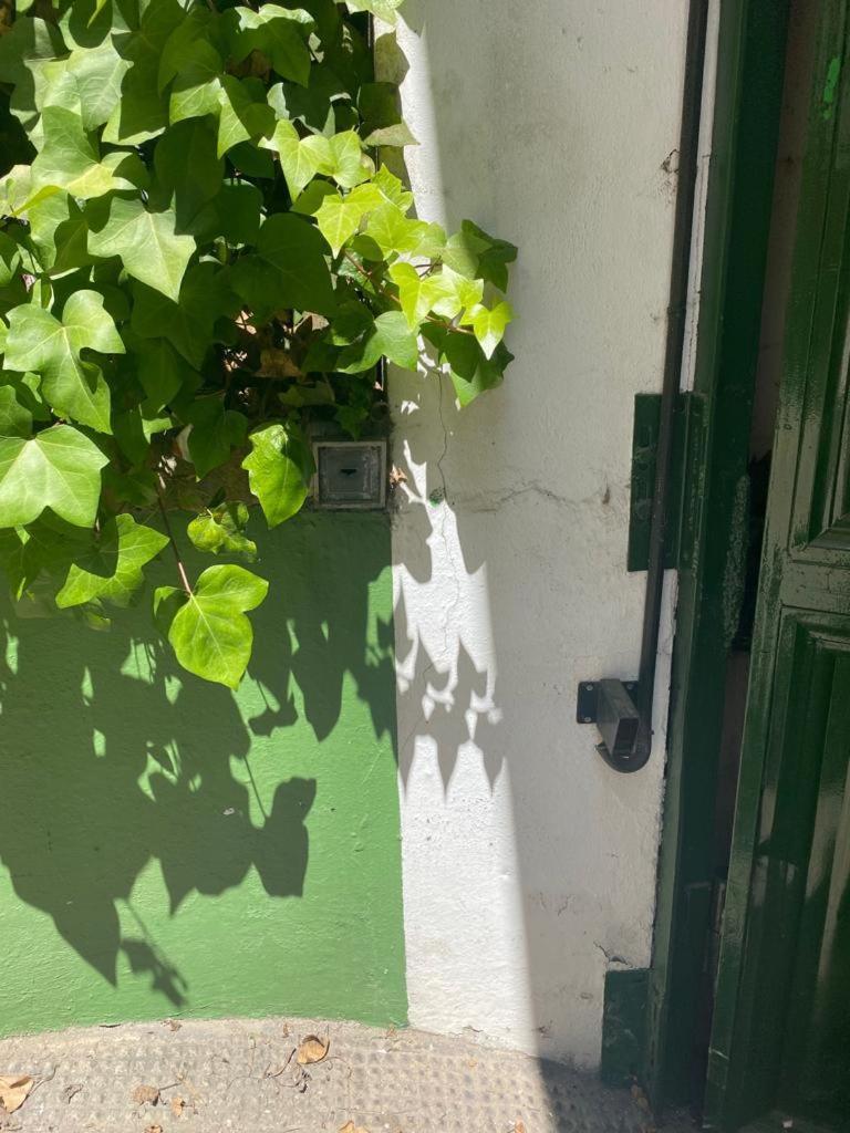 Rentalsevilla San Clemente Ngoại thất bức ảnh